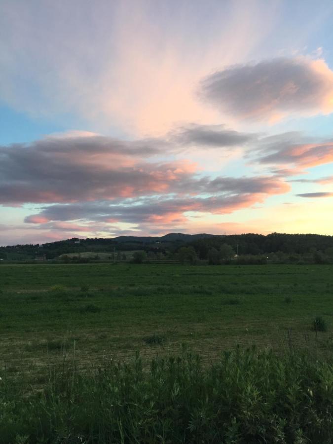 Agriturismo Bethsaid Fauglia Eksteriør billede